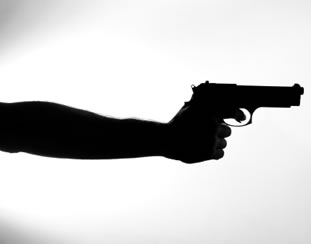 Hand Gun